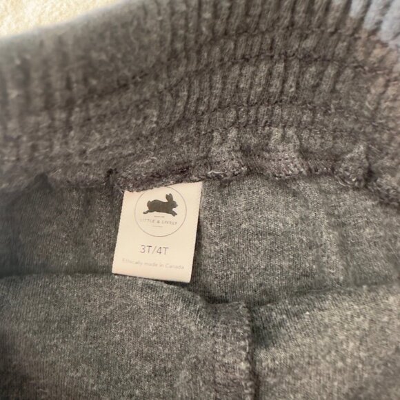 FREE WITH PURCHASE Little and lively shorts - Picture 2 of 4